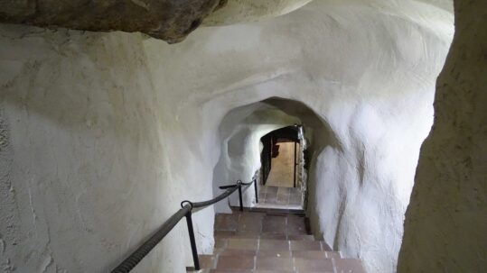 DSC07980 539x303